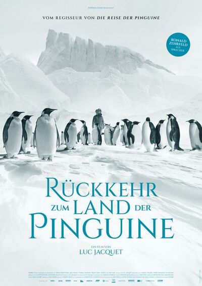 ruckkehr-zum-land-der-pinguine