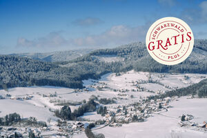 Wanderung im Winterwald Reichenbachtal