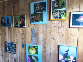 Fotoausstellung 