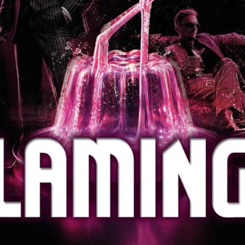 flamingo-i-tourneebuhne-treibgut