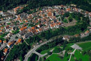 Neubürgerwanderung - Führung auf dem Biodiversitätspfad