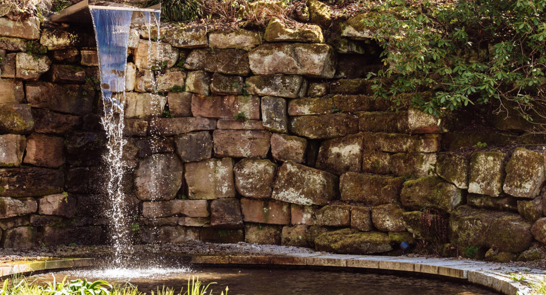 auf-schritt-und-tritt