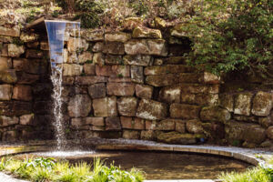 Auf Schritt und Tritt