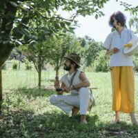 Roots of the People  Stories of Ancestral Memories.