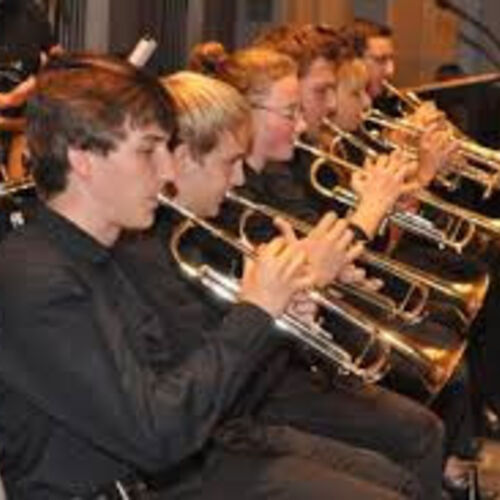 jahreskonzert-der-blasmusik-trachtenkapelle-bad-rippoldsau