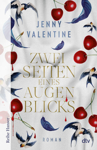 jenny-valentine-zwei-seiten-eines-augenblicks