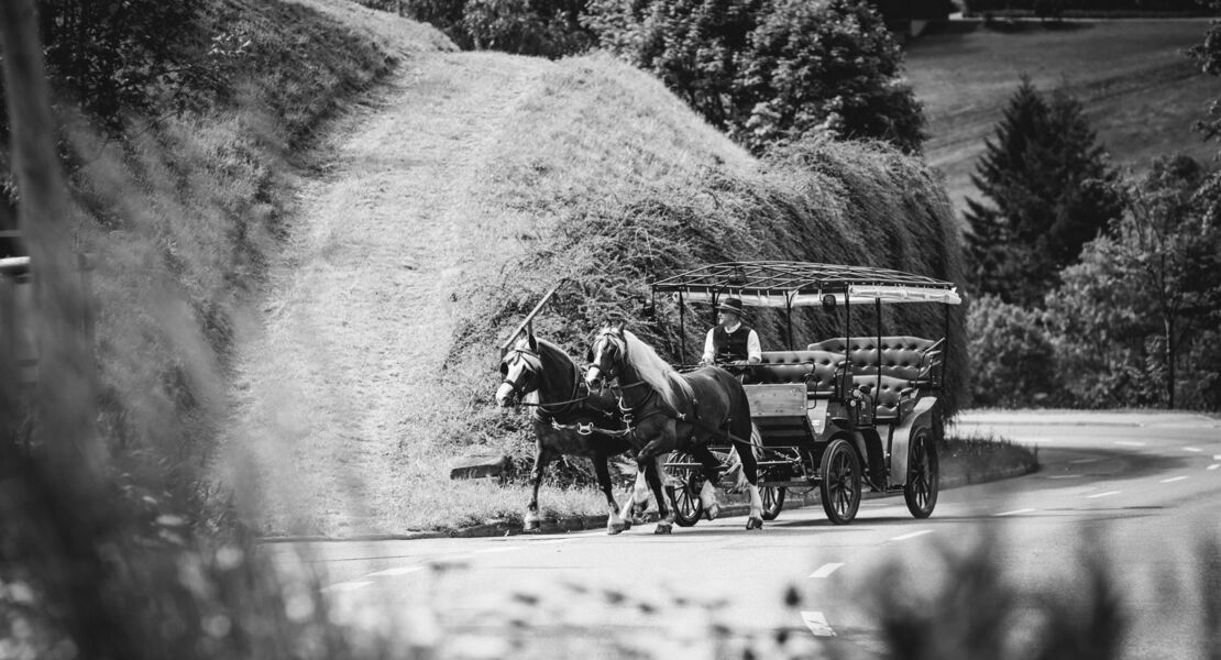 kutschfahrt-ins-romantische-tonbachtal