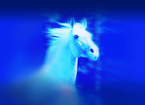 gala-show-samstag-eurocheval-2025