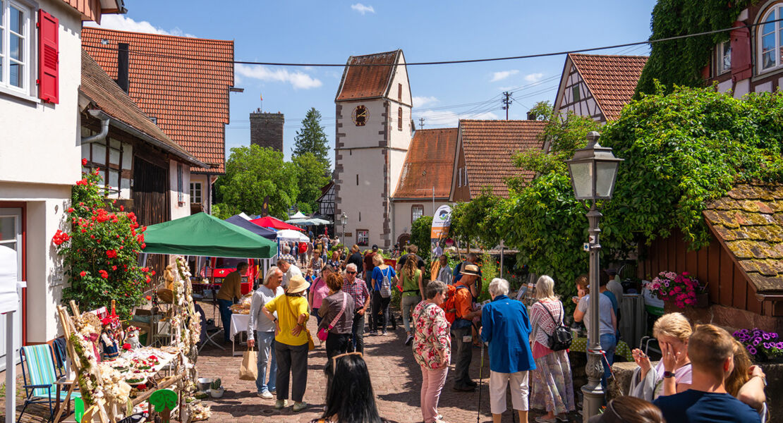 naturpark-markt