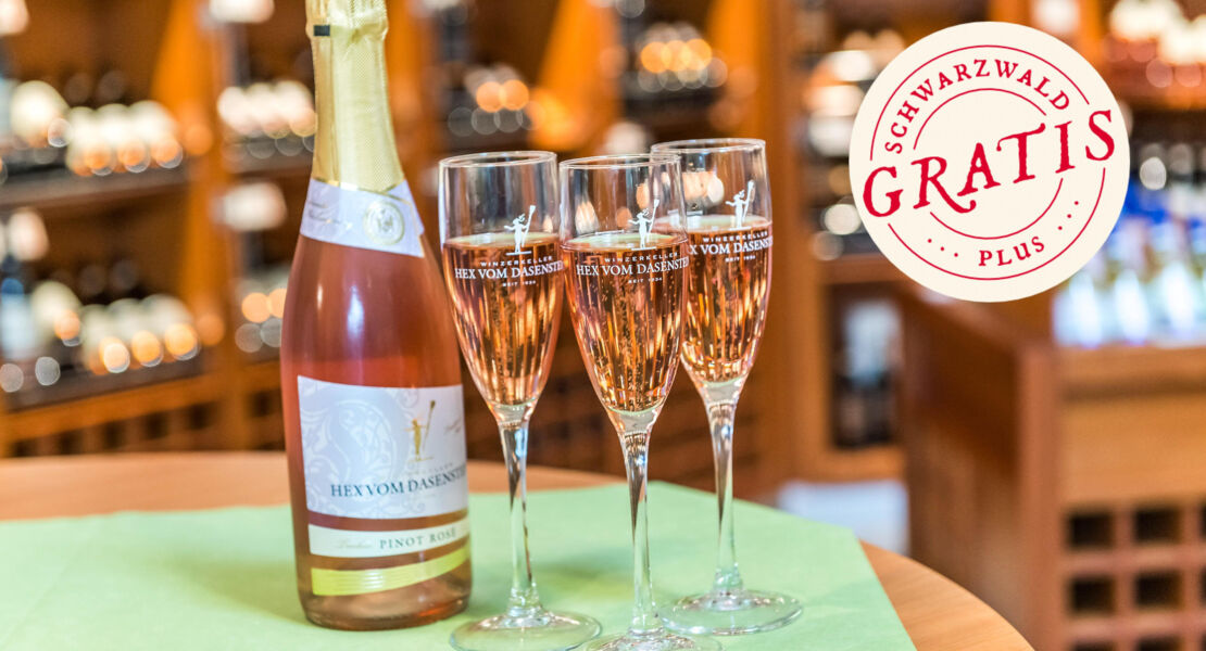 busausfahrt-hex-vom-dasenstein-kappelrodeck