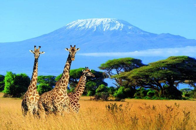 dia-vortrag-abenteuer-kilimanjaro
