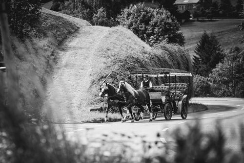 kutschfahrt-ins-romantische-tonbachtal