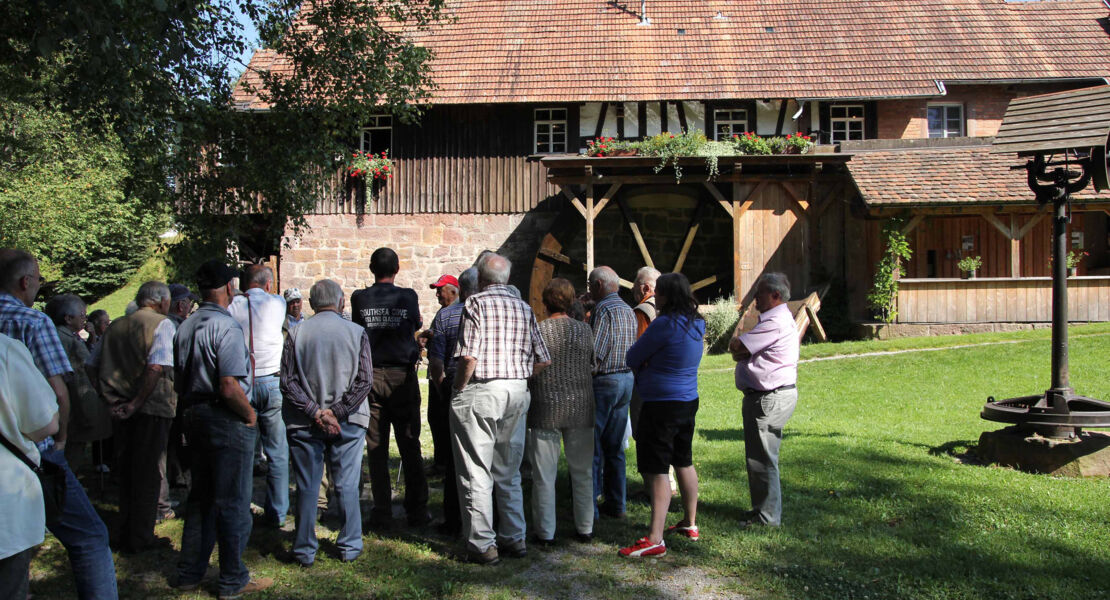 besichtigungstour-der-monchhofsagemuhle