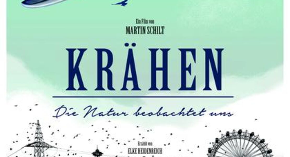 krahen-die-natur-beobachtet-uns