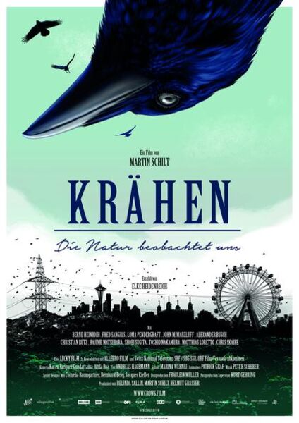 krahen-die-natur-beobachtet-uns