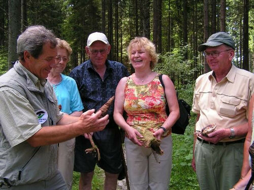 waldachtaler-gaste-info-mit-naturerlebnis