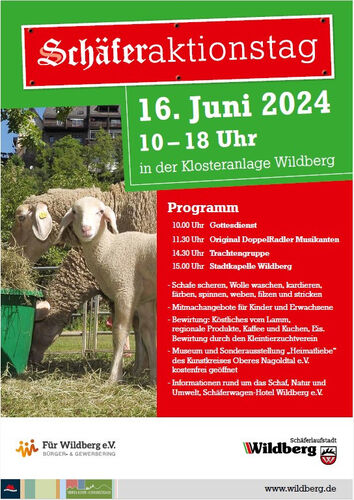 schaferaktionstag-von-der-schafschur-bis-zum-pullover