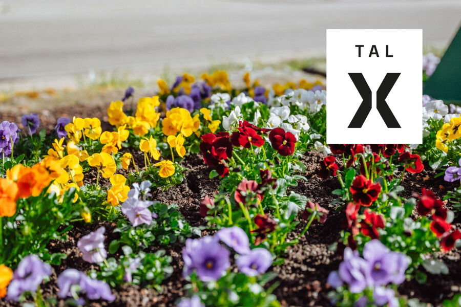 garten-sprechstunden-mit-swr4-gartenexperte-volker-kugel