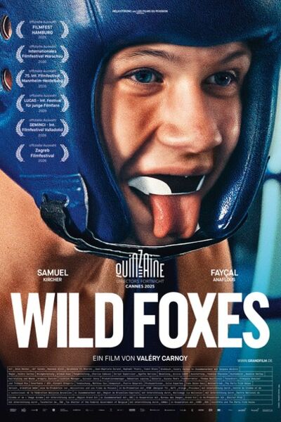 wild-foxes