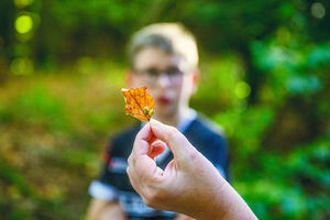 Entdeckertour Tierspuren in Burg, Wald und Wiese