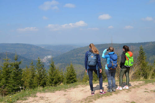 gefuhrte-wanderung-oberes-gaistal-kohlwaldle-unteres-gaistal