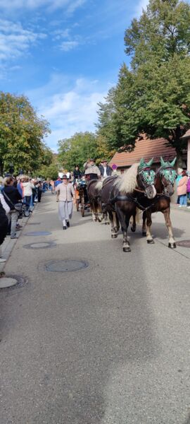 olbronner-erntedankfest-2025