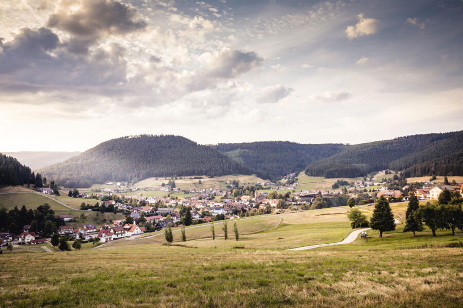 gefuhrter-ortsrundgang-durch-mitteltal