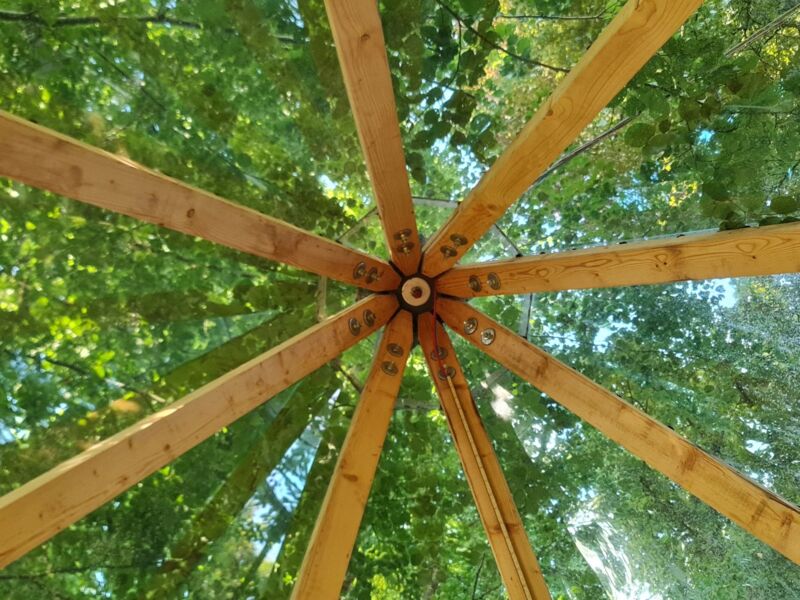 atmen-im-baumhaus-erlebe-natur-erfahre-atem-wecke-deine-kraft