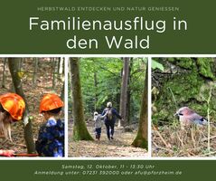 Geführter Familien-Ausflug in den Wald