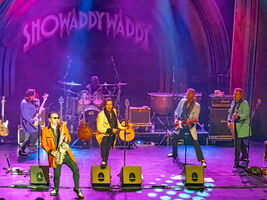 SPIDER MURPHY GANG  & SHOWADDYWADDY (UK) - Rock´n Roll Fever Tour 2025 & Revival Festival