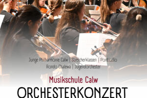 Orchesterkonzert