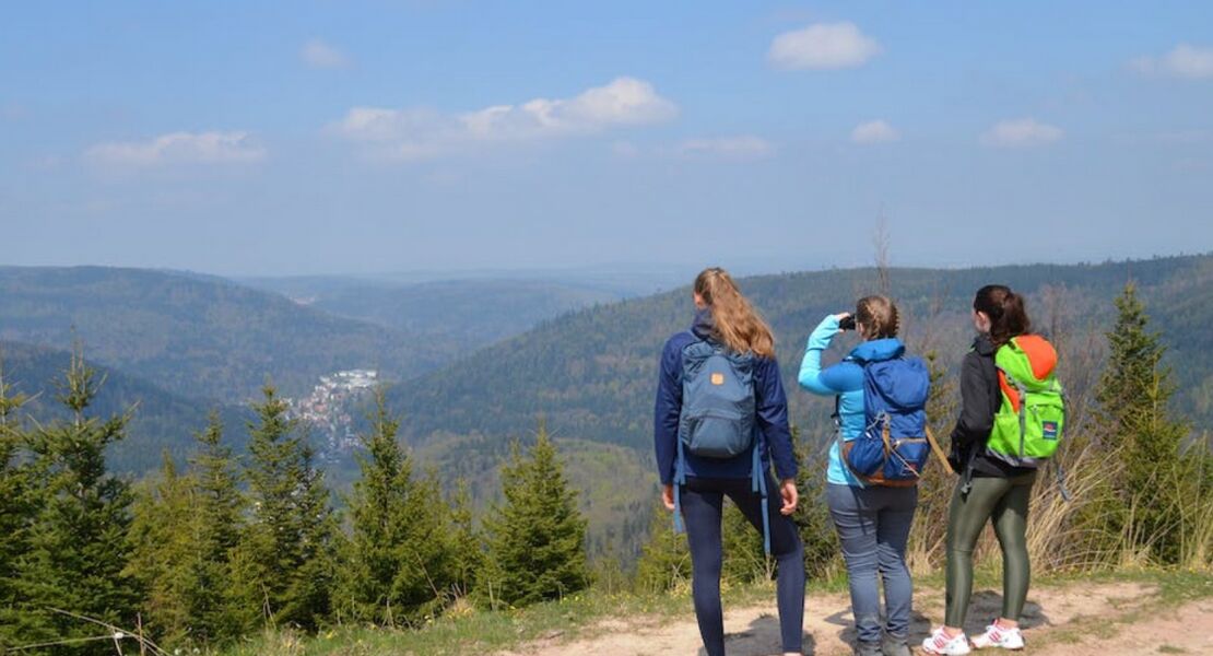 sportliche-wanderung-bad-herrenalb-talwiese-geigerslochle