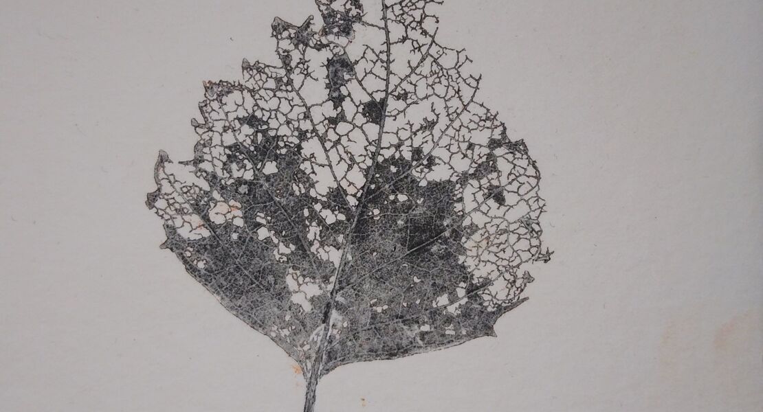 tag-der-druckkunst-drucken-mit-der-walzenpresse