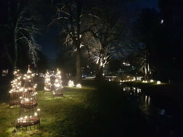 Mystischer Abendspaziergang - Wintersonnenwende