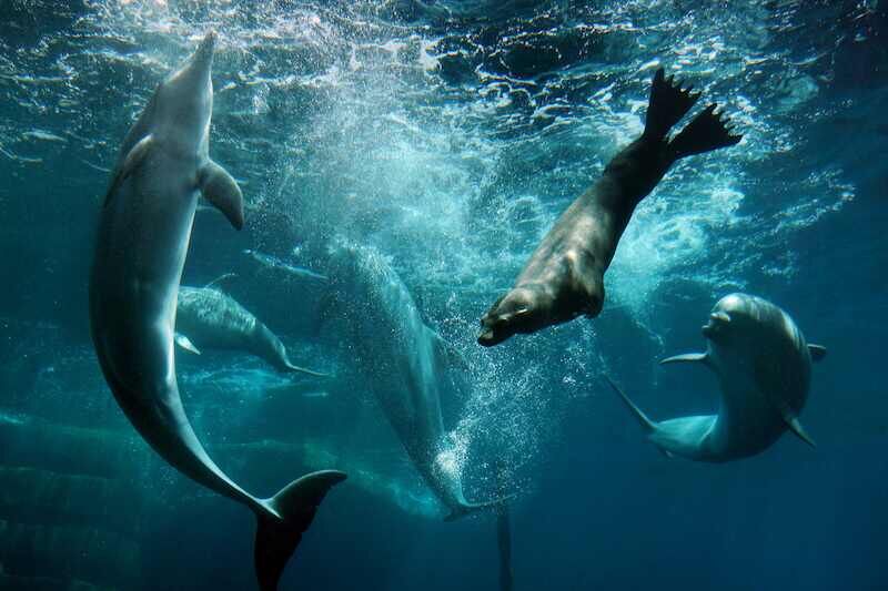 berichte-aus-dem-garten-eden-mit-4-gange-menu-und-getranken