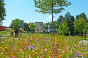 Sonneninsel Steetfood Sommer | 4. Augustwochenende mit UFO Burger