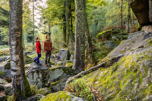 wanderopening-dobel-entdecken