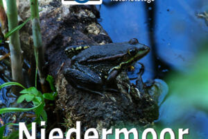 WS - Natur im Niedermoor