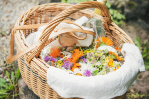 Wildkräuterführungen in Bad Liebenzell mit Roswitha Hild