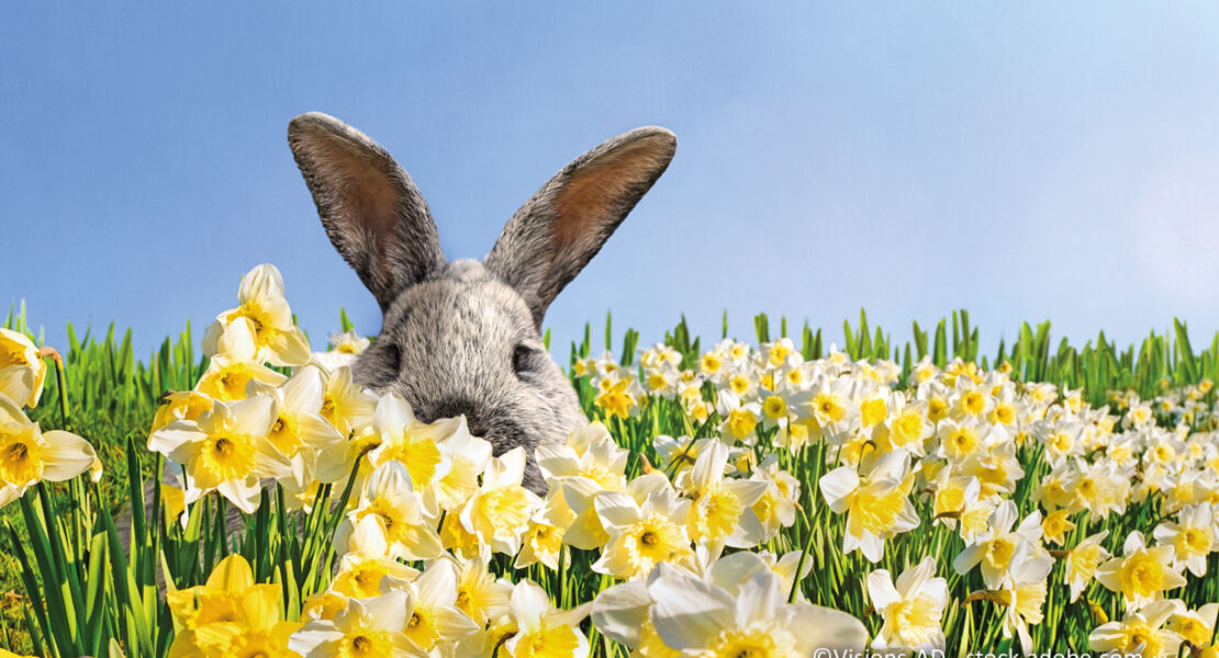 ostergarten-ostern-mit-allen-sinnen-erleben