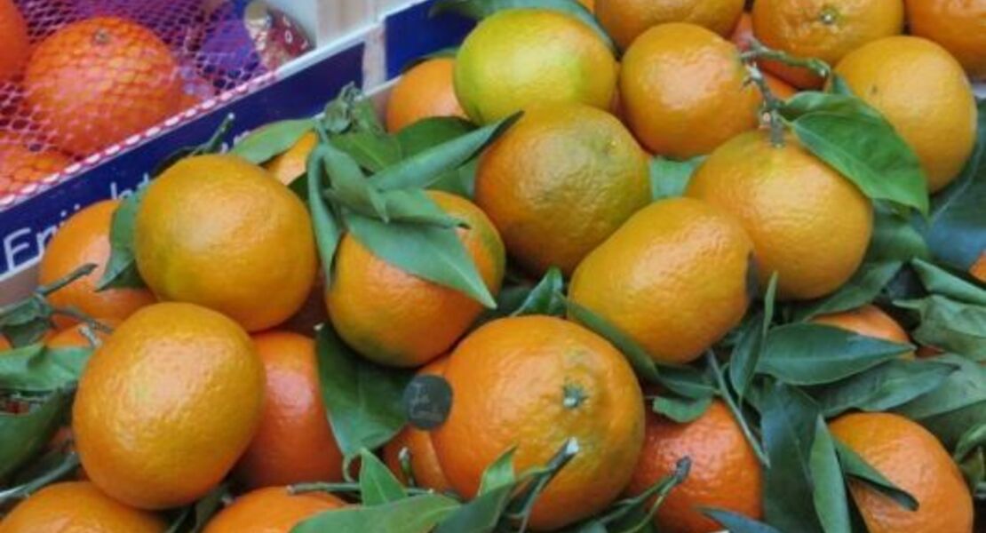 vorosterlicher-wochenmarkt