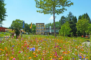 Sonneninsel Streetfood Sommer | 1. Septemberwochenende mit Lekka Catering
