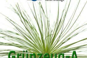 WS Faszination Grünzeug A - MIT  20 CEWE-GUTSCHEIN