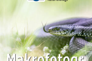 WS - Makro-Fotografie vor der Haustür
