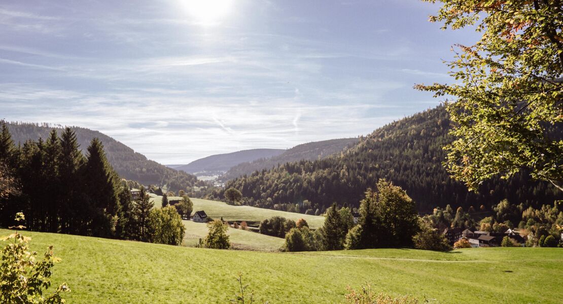 sonne-quell-des-lebens