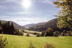 Sonne - Quell des Lebens