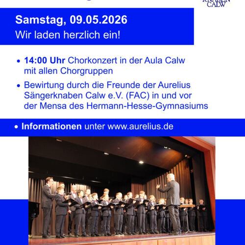 familientag-der-aurelius-sangerknaben-calw