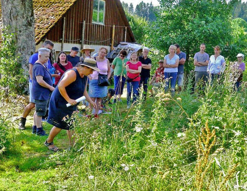 wildkrauter-und-permakulturfuhrung-uber-den-carmelittenhof