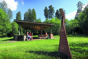 Mit dem Wellnesswald-Führer unterwegs - gehen Sie den Weg des Waldes!
