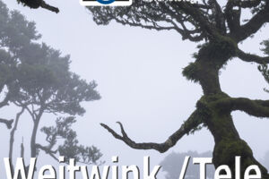 WS Weitwinkel versus Tele